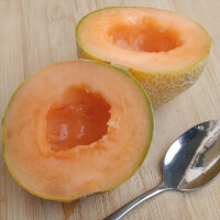 Melón Minnesota Midget (Cucumis melo) semillas